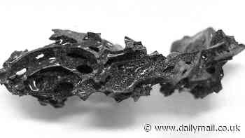 Eruption of Mount Vesuvius turned its victims' brains to GLASS: Scientists discover unique shards inside the skull of a person caught in the blast in Herculaneum
