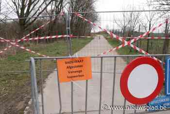 Meerderheid en oppositie in de clinch over bomenkap Badstraat: “Vellen was niet nodig”