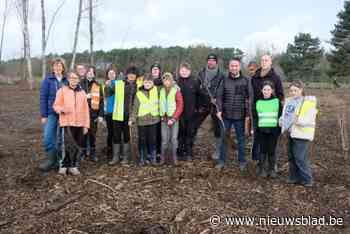 Na caravans en drugsspuiten neemt natuur het weer over