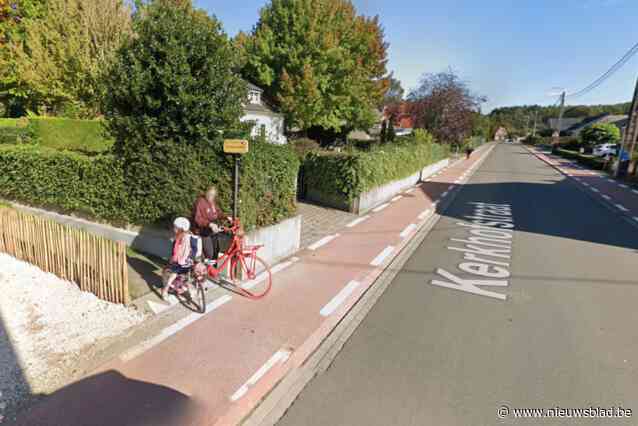 Burgemeester roept diensten samen na dodelijk ongeval: “We proberen die gevaarlijke situatie al jaren weg te werken, maar de eigenaar weigert de haag te verwijderen”