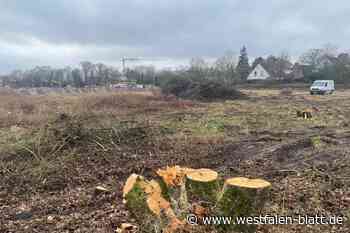 Halle: Vorbereitungen für neuen Aldi-Markt laufen an