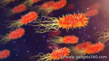 Scientists Find Wastewater Bacteria That Break Down PET Plastic, Aiding Pollution Control