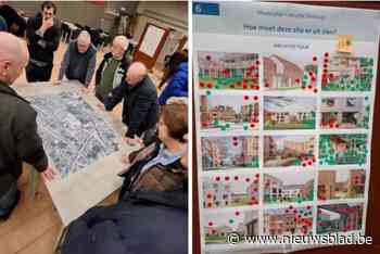 Bewoners en verenigingen denken mee over toekomst historische site pal in de dorpskern