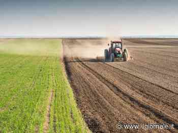 Algeria: Bf conclude iter per progetto agricolo da 420 milioni di dollari