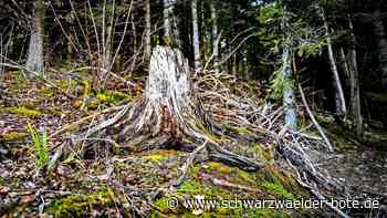 Stadtwald Altensteig: Kalkung kommt auch Würmern zugute