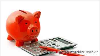 Haushalt in Bad Herrenalb eingebracht: Kein Freibad und keine  Vereinsförderung mehr?