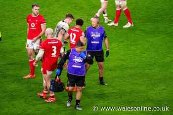 Ireland star hit with ban after 'out of control' incident vs Wales