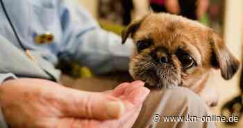 Explodierende Pflegekosten: Mit Siechtum lässt sich nicht gut werben