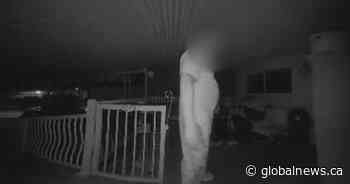 Surrey home invasion suspect charged with break and enter, assault, mischief