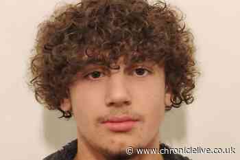 Newcastle 14-year-old missing as police appeal for public help to find teen