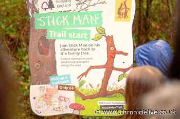 Stick Man adventure trail comes to Northumberland forest