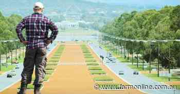 Canberra Chaos: Election overdrive, did Wong temper tariff hopes, fake meat