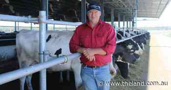 Farm accident sees a return to genetics passion for Wagga producer