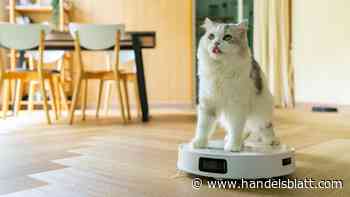 Immobilien: Warum ist nicht jede Regel in der Hausordnung bindend?