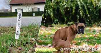 Anne waarschuwt voor satéprikkers in rondslingerende drollen: 'Ik was blij dat ik net op tijd was’