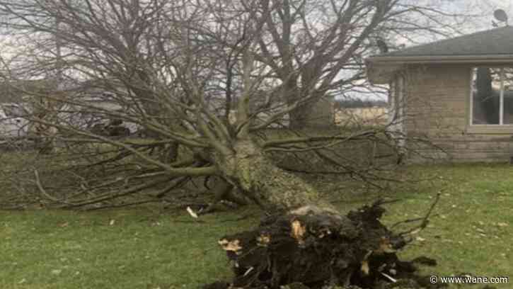 Preparing for Friday's windy day
