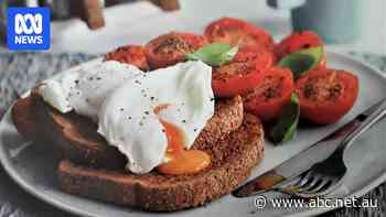 Expect egg shortage, high prices to last years, farmers tell shoppers