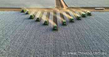 Chance for local buyers to wrest back control of NSW irrigation giant