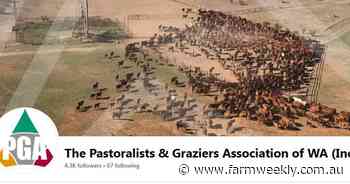 Administrators of PGA issues report to creditors after month-long investigation