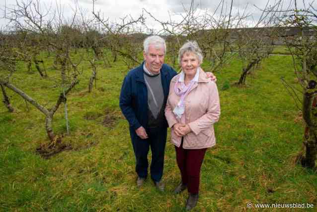 Romain (84) en Lena (75) verzetten zich tegen komst reusachtige windturbine: “We gaan hemel en aarde bewegen om dit te verhinderen”