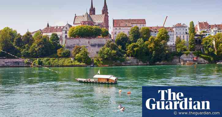 ‘Green roofs deliver for biodiversity’: how Basel put nature on top