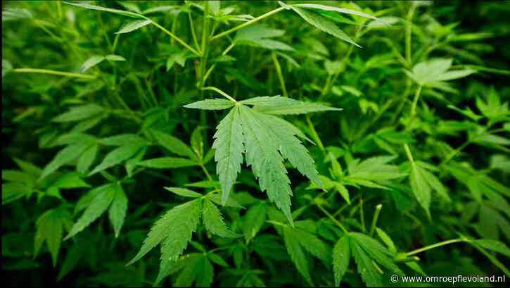 Almere - 'Vrees voor overlast coffeeshop in Almere Buiten onterecht'