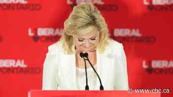 Crombie falls in Mississauga, but Ford's rivals rack up wins in Toronto