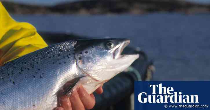 Weatherwatch: marine ‘hot spot’ could change makeup of British fish species