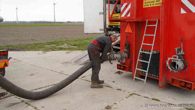 Daling rundveemestprijzen zet voorlopig door