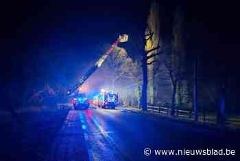 Brand breekt uit in Pelt: garage, auto en wasplaats gaan op in de vlammen