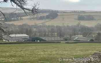 Ten-year FBT on 230-acre farm up for tender in Northumberland