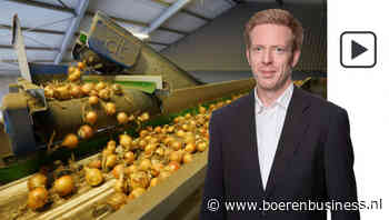 Komt er schot in de uienmarkt?