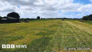 Farm landing strip has planning exemption refused