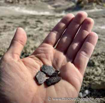 Eggshells Fill a 30-Million-Year Fossil Record Gap for Dinosaur Migration