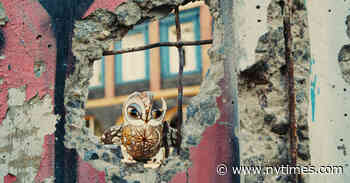 A Guide to the Documentary Oscar Nominees