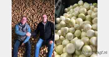 "Aanwezigheid op Nederlandse en Poolse markt sleutel tot succes in geschilde uien"