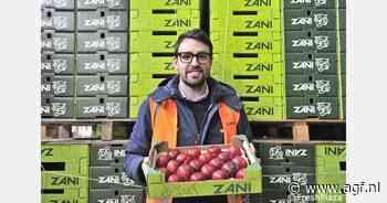 "Goede vraag naar Zuid-Afrikaanse rode pruimen"