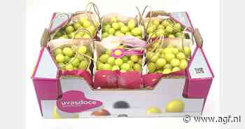 "In mei tekort verwacht op druivenmarkt"