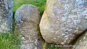 Was Stonehenge a phallic temple? Scientist claims a key stone was sculpted to resemble a giant PENIS