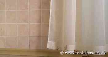 Expert reveals top tips to prevent mould on shower curtains in your bathroom