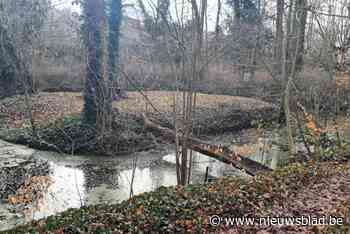 Zuiver water voor pastorietuin Roosbeek