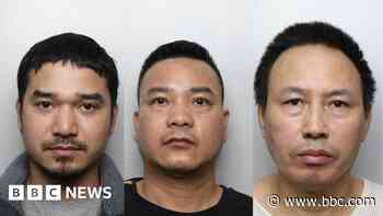 Three jailed for roles in £1m cannabis factory