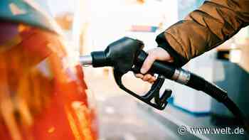 Die effizienteste Art des Klimaschutzes – und die möglichen Tücken