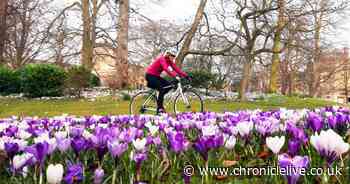 North East March weather forecast as first weekend of spring arrives
