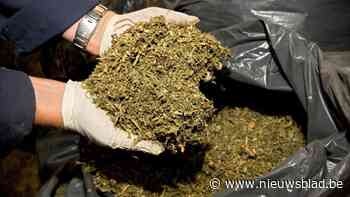 Douane onderschept 872 kilogram marihuana in Antwerpse haven