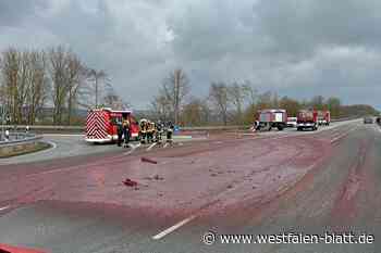 Blutige Ekelabfälle auf der B 252