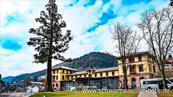 Speisewagen Bad Wildbad: Das sind die ersten Gastronomen beim Bahnhof