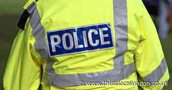 Missing cat found 'mutilated' in Leytonstone