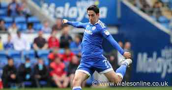 Peter Whittingham death: What happened to Cardiff City legend