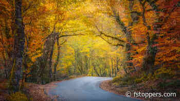 Fstoppers Photographer of the Month (February 2025): Maria Sustelo